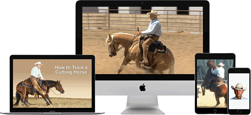 Horse training videos